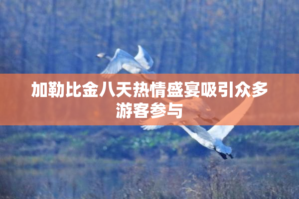 加勒比金八天热情盛宴吸引众多游客参与