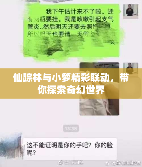 仙踪林与小箩精彩联动，带你探索奇幻世界