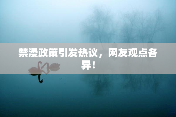 禁漫政策引发热议，网友观点各异！