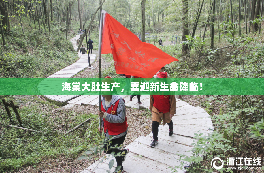 海棠大肚生产，喜迎新生命降临！