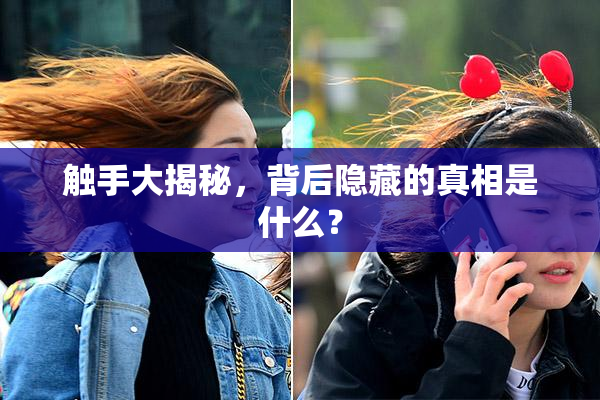 触手大揭秘，背后隐藏的真相是什么？