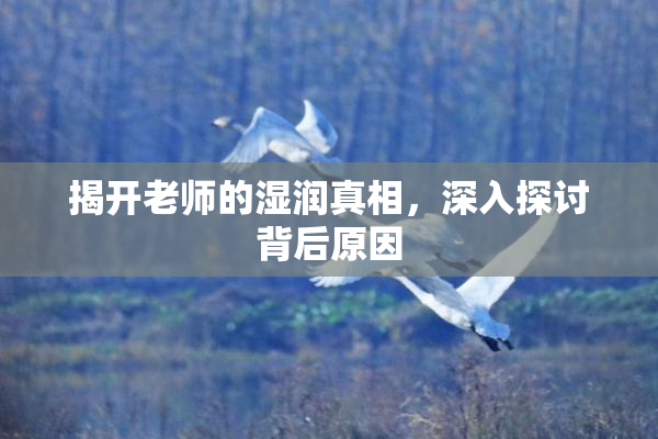 揭开老师的湿润真相，深入探讨背后原因