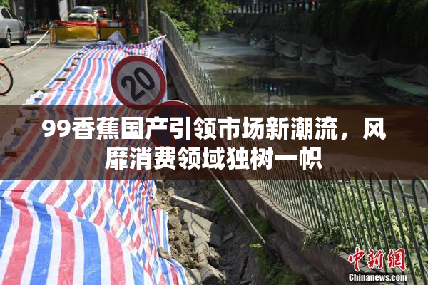 99香蕉国产引领市场新潮流，风靡消费领域独树一帜