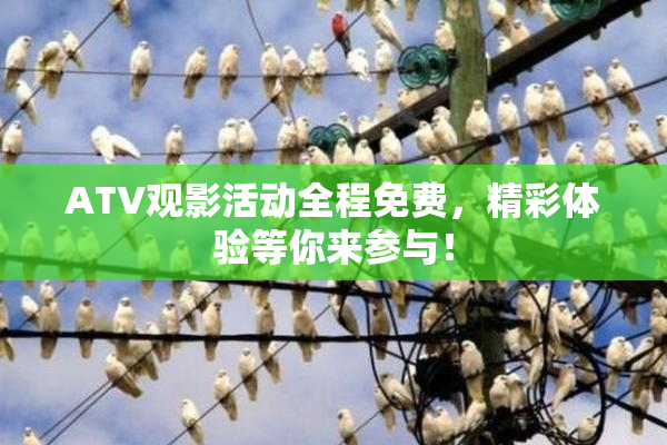ATV观影活动全程免费，精彩体验等你来参与！