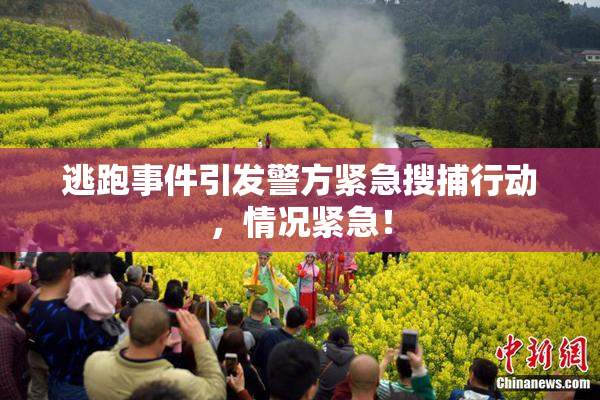 逃跑事件引发警方紧急搜捕行动，情况紧急！