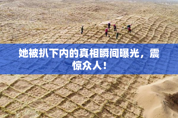 她被扒下内的真相瞬间曝光，震惊众人！