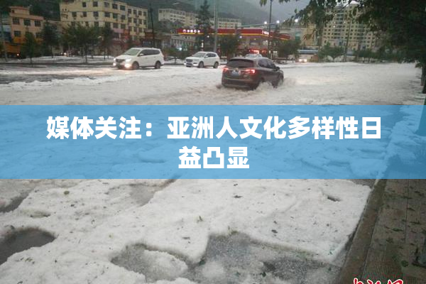 媒体关注：亚洲人文化多样性日益凸显
