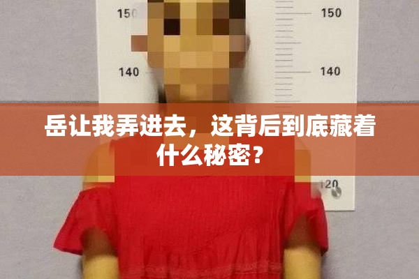 岳让我弄进去，这背后到底藏着什么秘密？