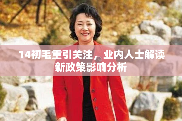 14初毛重引关注，业内人士解读新政策影响分析