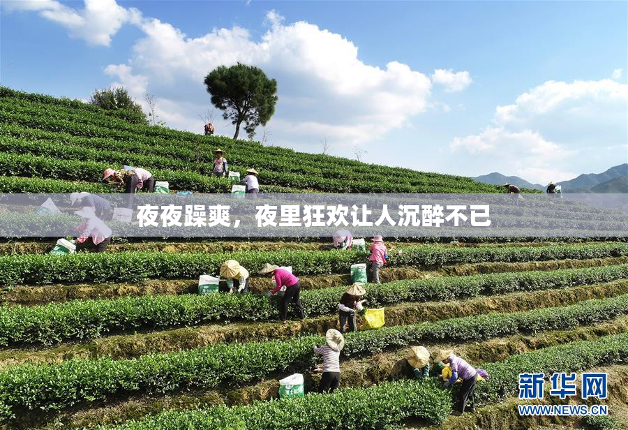 夜夜躁爽，夜里狂欢让人沉醉不已