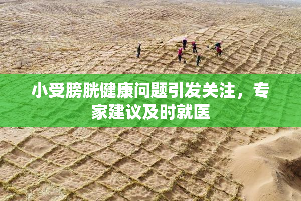 小受膀胱健康问题引发关注，专家建议及时就医