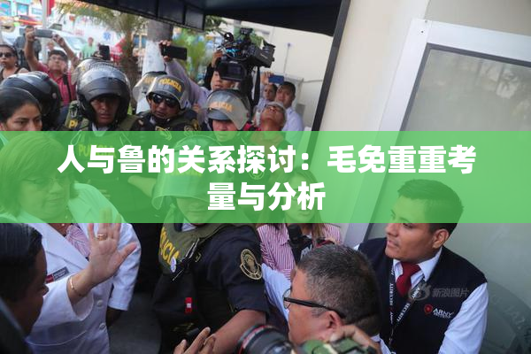 人与鲁的关系探讨：毛免重重考量与分析
