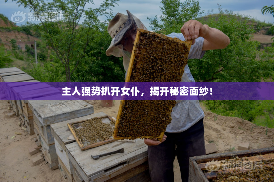 主人强势扒开女仆，揭开秘密面纱！