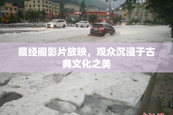 藏经阁影片放映，观众沉浸于古典文化之美