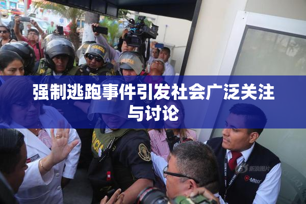强制逃跑事件引发社会广泛关注与讨论