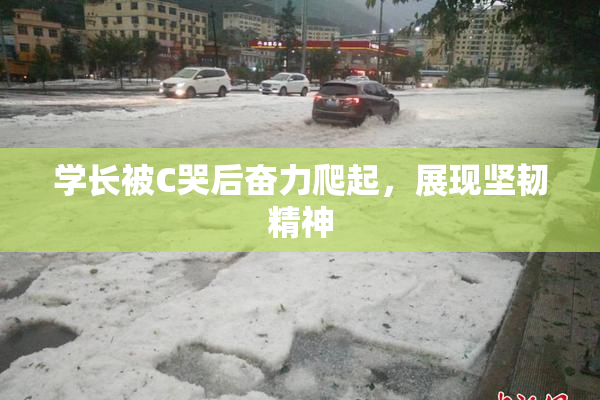 学长被C哭后奋力爬起，展现坚韧精神
