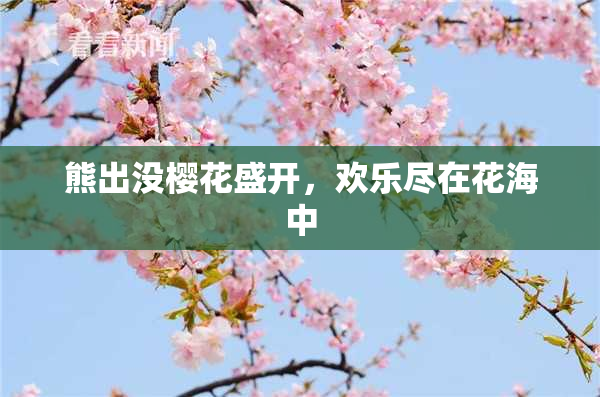 熊出没樱花盛开，欢乐尽在花海中