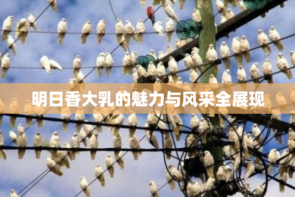 明日香大乳的魅力与风采全展现