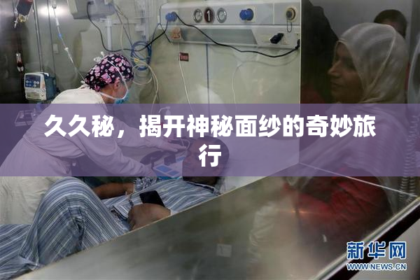 久久秘，揭开神秘面纱的奇妙旅行