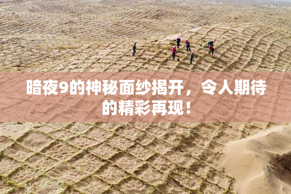暗夜9的神秘面纱揭开，令人期待的精彩再现！