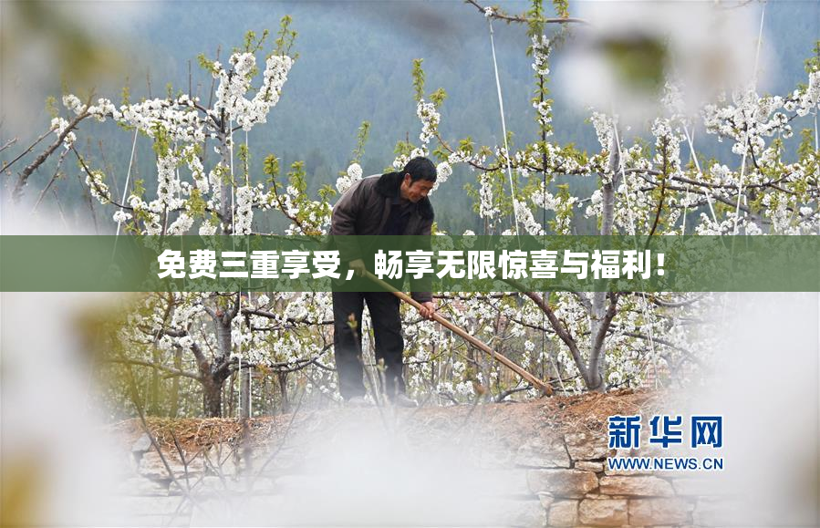 免费三重享受，畅享无限惊喜与福利！