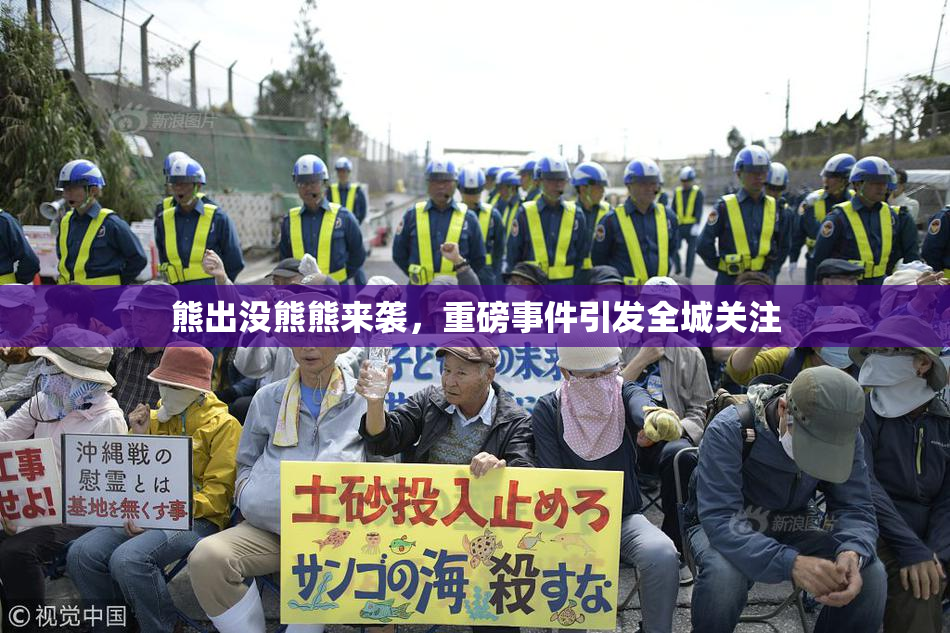 熊出没熊熊来袭，重磅事件引发全城关注