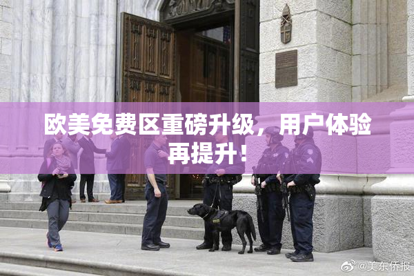 欧美免费区重磅升级，用户体验再提升！