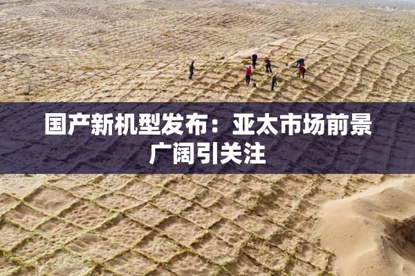 国产新机型发布：亚太市场前景广阔引关注