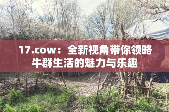 17.cow：全新视角带你领略牛群生活的魅力与乐趣