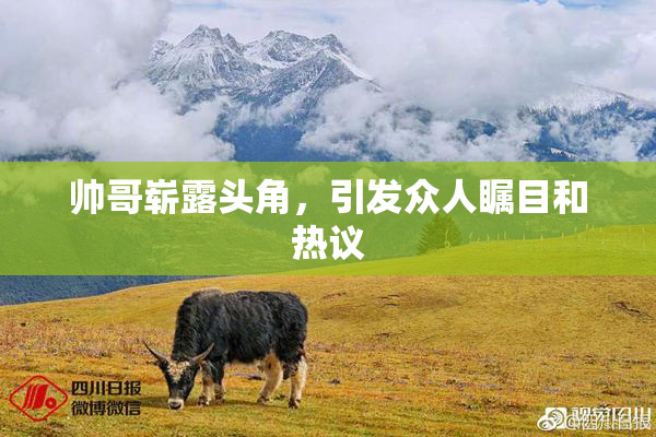 帅哥崭露头角，引发众人瞩目和热议