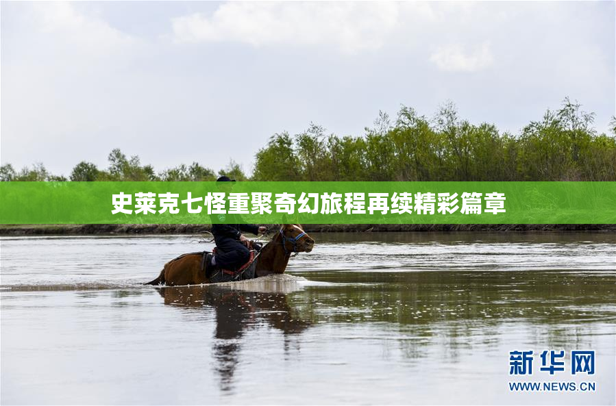 史莱克七怪重聚奇幻旅程再续精彩篇章