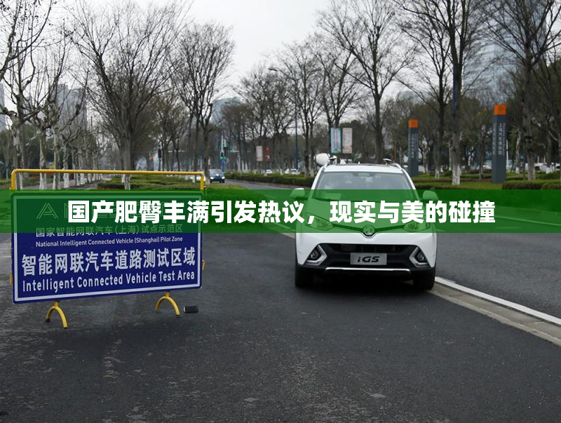 国产肥臀丰满引发热议，现实与美的碰撞