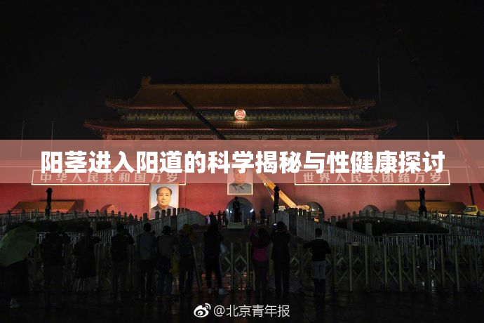 阳茎进入阳道的科学揭秘与性健康探讨