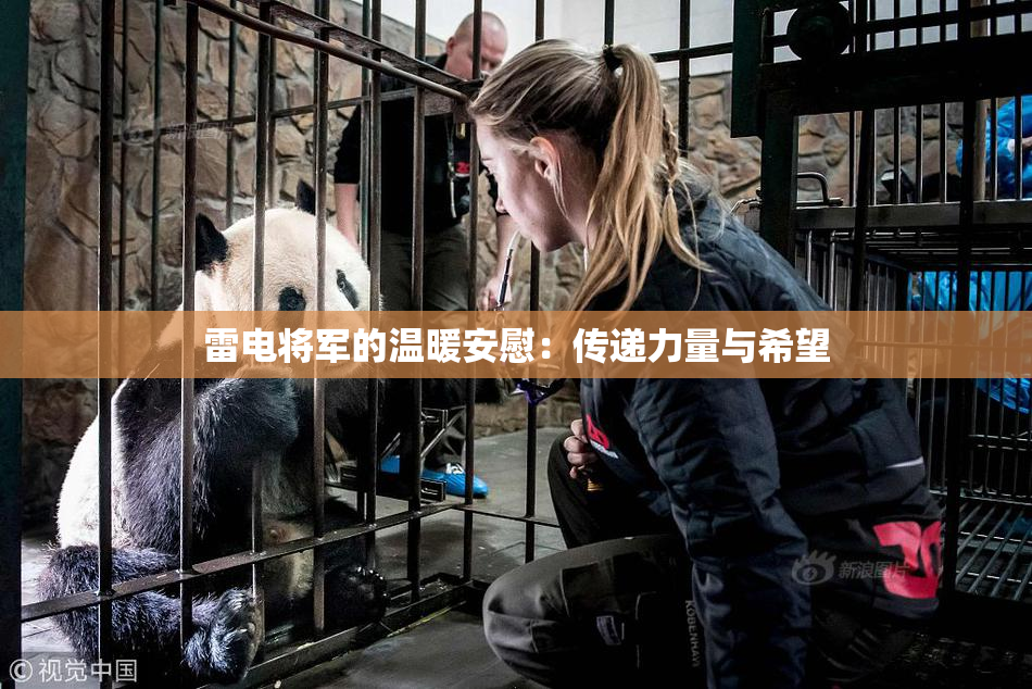 雷电将军的温暖安慰：传递力量与希望
