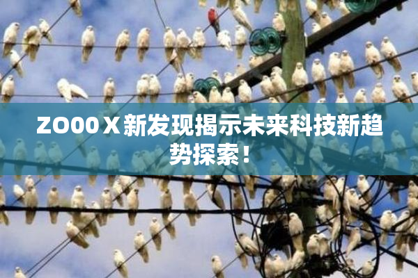 ZO00Ⅹ新发现揭示未来科技新趋势探索！
