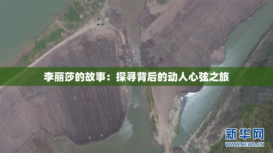 李丽莎的故事：探寻背后的动人心弦之旅