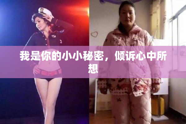 我是你的小小秘密，倾诉心中所想