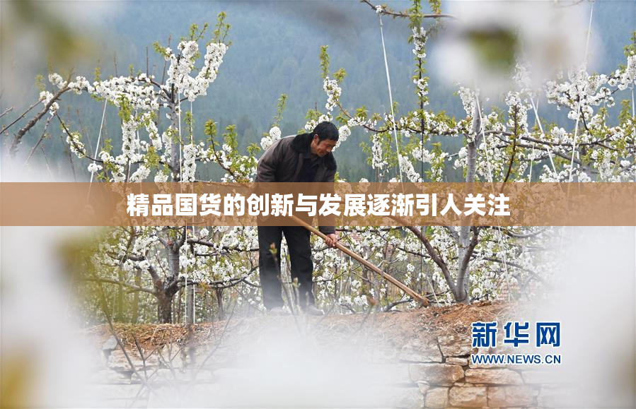 精品国货的创新与发展逐渐引人关注