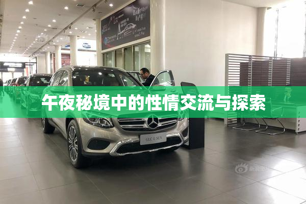 午夜秘境中的性情交流与探索