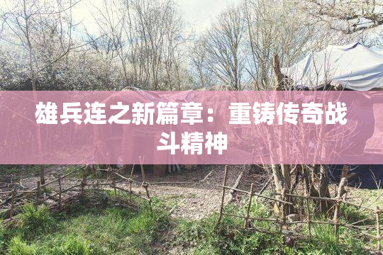 雄兵连之新篇章：重铸传奇战斗精神