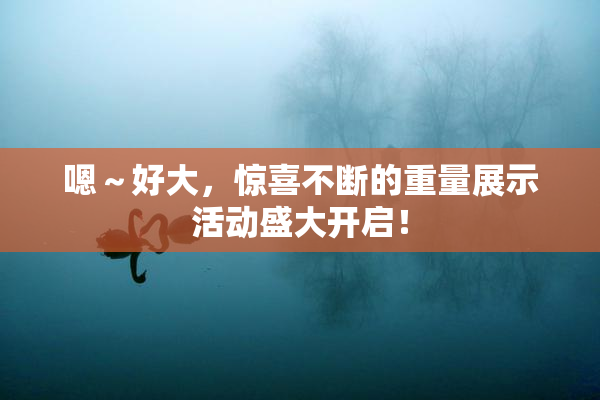 嗯～好大，惊喜不断的重量展示活动盛大开启！