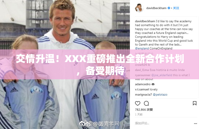 交情升温！XXX重磅推出全新合作计划，备受期待