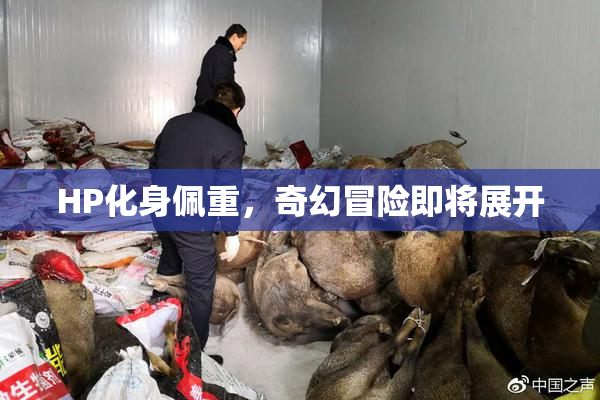 HP化身佩重，奇幻冒险即将展开