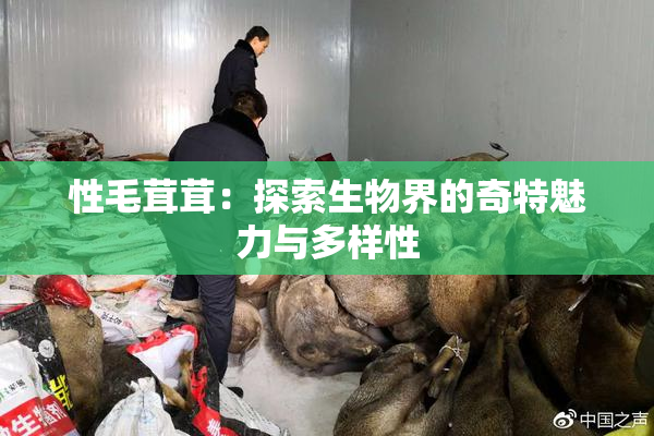 性毛茸茸：探索生物界的奇特魅力与多样性