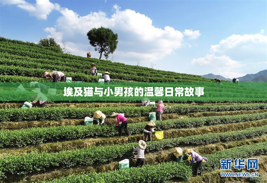 埃及猫与小男孩的温馨日常故事