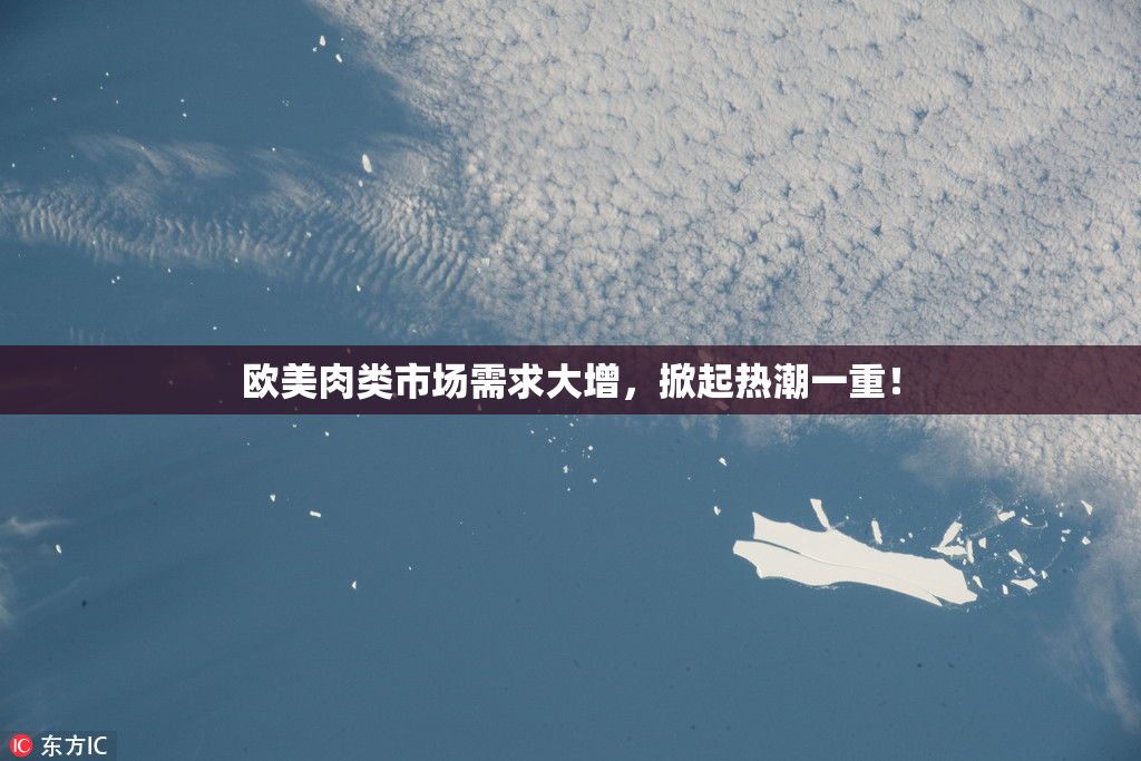 欧美肉类市场需求大增，掀起热潮一重！