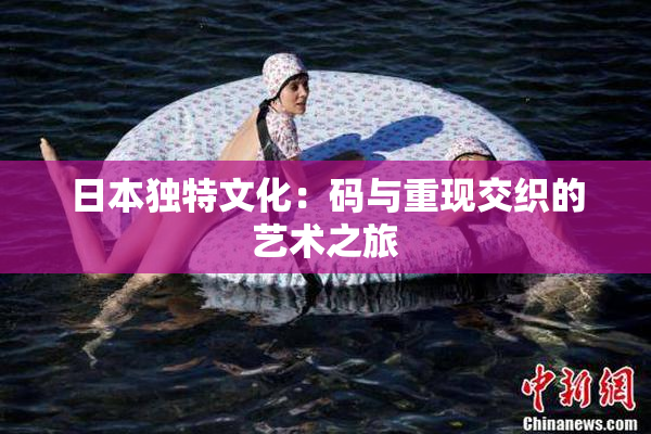 日本独特文化：码与重现交织的艺术之旅