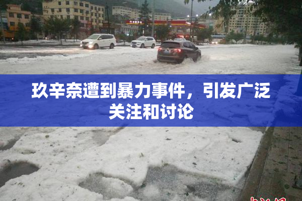 玖辛奈遭到暴力事件，引发广泛关注和讨论
