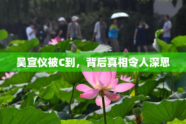 吴宣仪被C到，背后真相令人深思