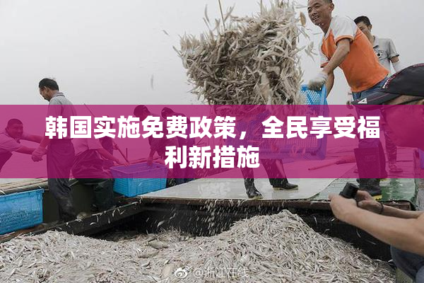 韩国实施免费政策，全民享受福利新措施